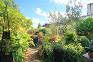 Photo 13- click for photo gallery